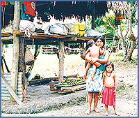 Imagen foto
