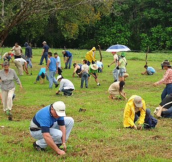 haga click para ampliar la imagen