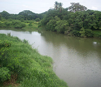 haga click para ampliar la imagen