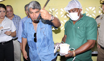 haga click para ampliar la imagen