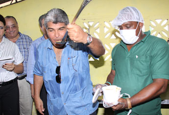 haga click para ampliar la imagen