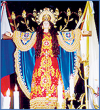 Imagen foto