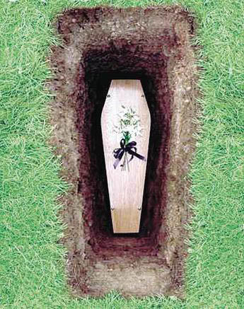 Imagen foto