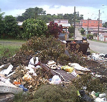 Imagen foto