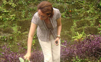 haga click para ampliar la imagen