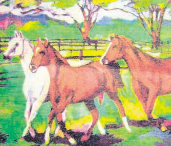 haga click para ampliar la imagen