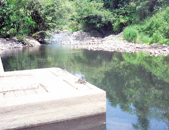 haga click para ampliar la imagen