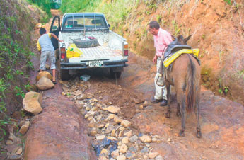 haga click para ampliar la imagen