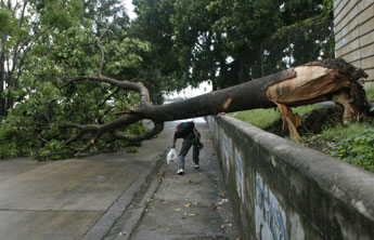 haga click para ampliar la imagen