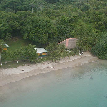 Imagen foto