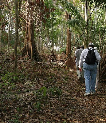 haga click para ampliar la imagen