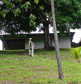 haga click para ampliar la imagen