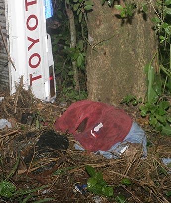 haga click para ampliar la imagen