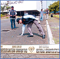 Imagen foto