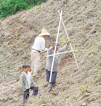 haga click para ampliar la imagen