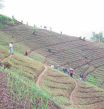 haga click para ampliar la imagen