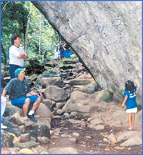 Imagen foto