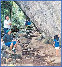 Imagen foto