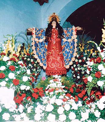 Imagen foto