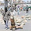 Imagen foto