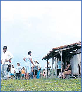 Imagen foto