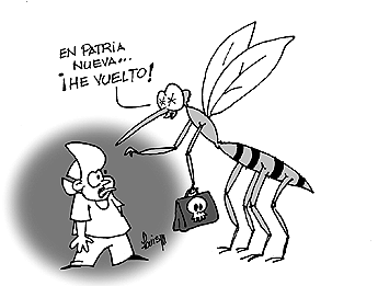 Imagen foto