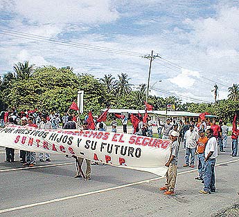 Imagen foto