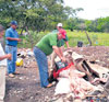 haga click para ampliar la imagen