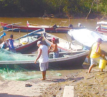 Imagen foto