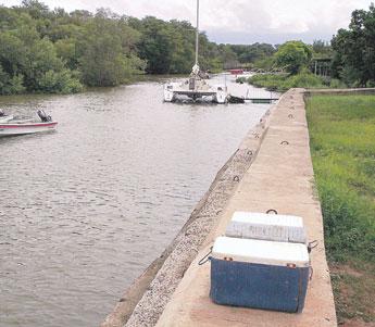 haga click para ampliar la imagen