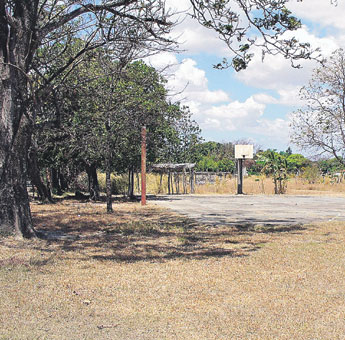 haga click para ampliar la imagen