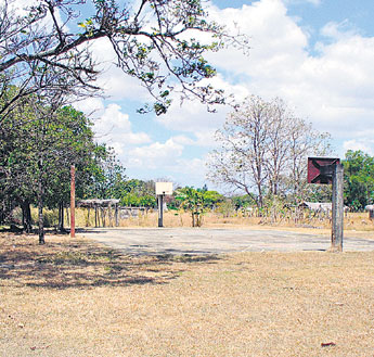 haga click para ampliar la imagen