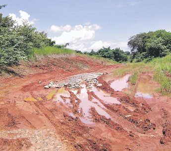 haga click para ampliar la imagen