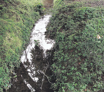 haga click para ampliar la imagen