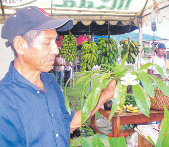 haga click para ampliar la imagen