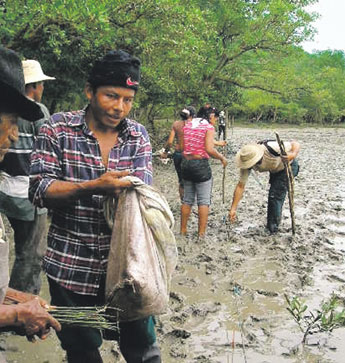 haga click para ampliar la imagen