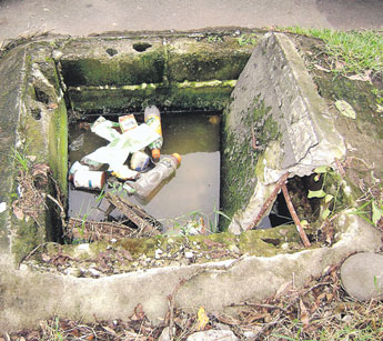 haga click para ampliar la imagen