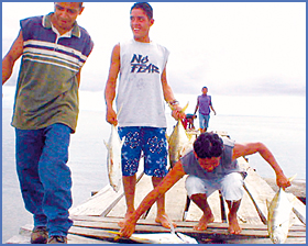 Imagen foto