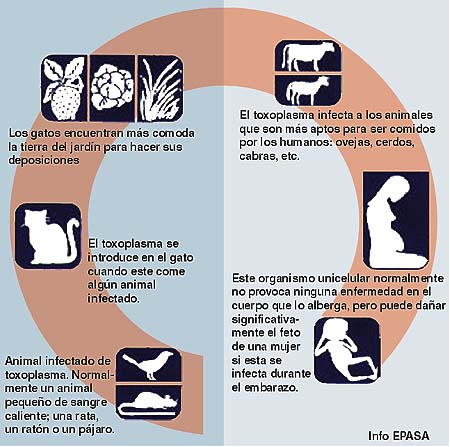 Imagen foto