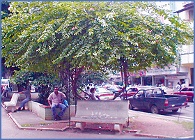 Imagen foto