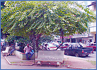 Imagen foto