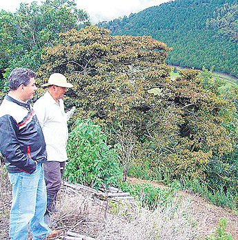 haga click para ampliar la imagen