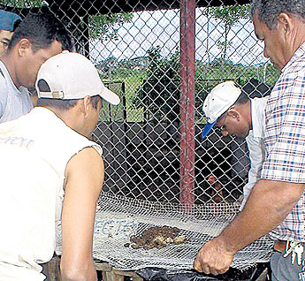 haga click para ampliar la imagen