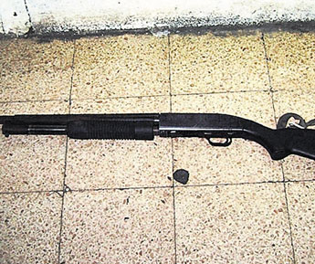haga click para ampliar la imagen