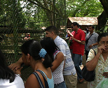 haga click para ampliar la imagen