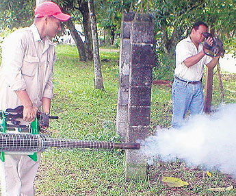 haga click para ampliar la imagen