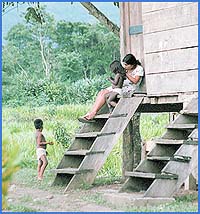 Imagen foto