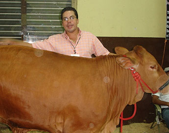 haga click para ampliar la imagen