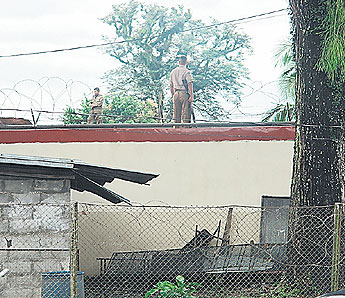 haga click para ampliar la imagen