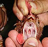 Imagen foto